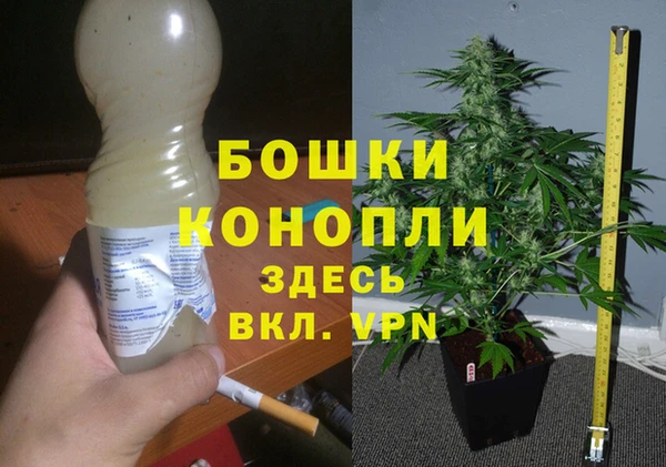 MESCALINE Богданович