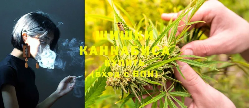 наркотики  МЕГА   Конопля SATIVA & INDICA  Буинск 